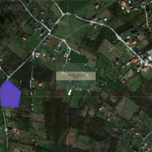 Prodaja, Poljoprivredno zemljište, Jagodina, Đurđevo brdo