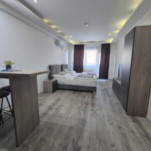 Komforna,kompletno nameštena garsonjera